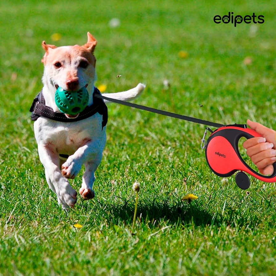 Leash për Qen Edipets 8M Retractable — foto 4