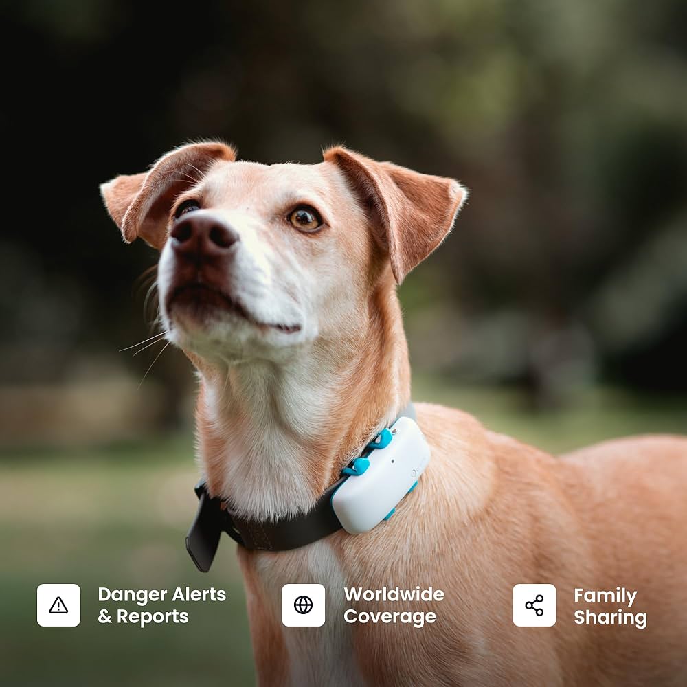 GPS Tracker për Qentë Tractive me Monitorim Aktiviteti — foto 8