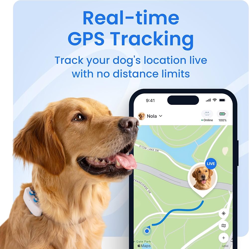 GPS Tracker për Qentë Tractive me Monitorim Aktiviteti — foto 2